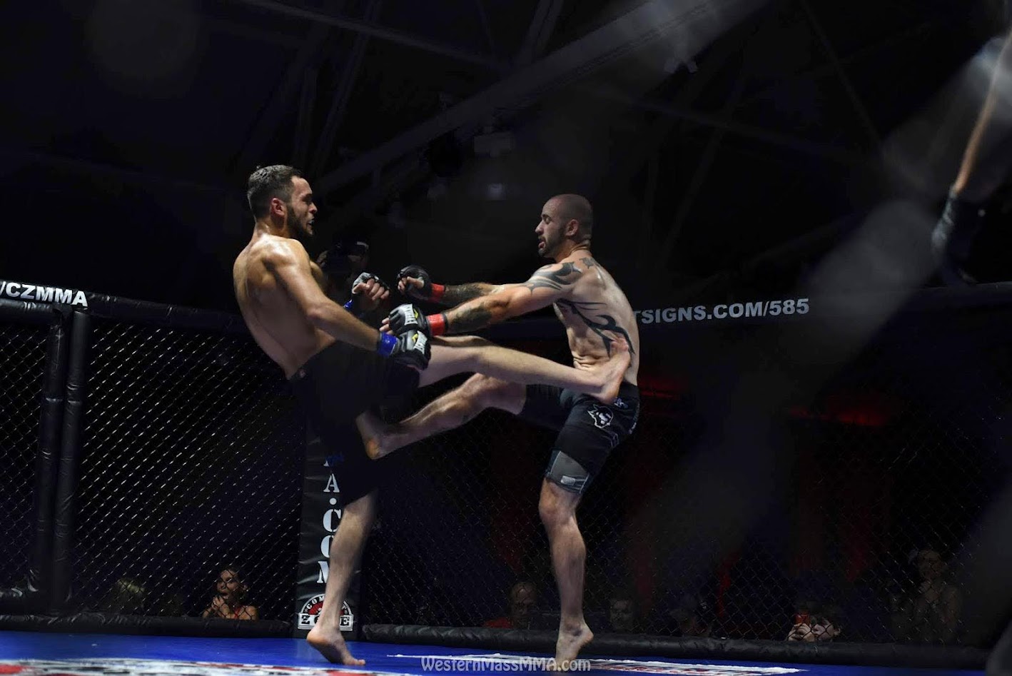 The Grind - Fight Action